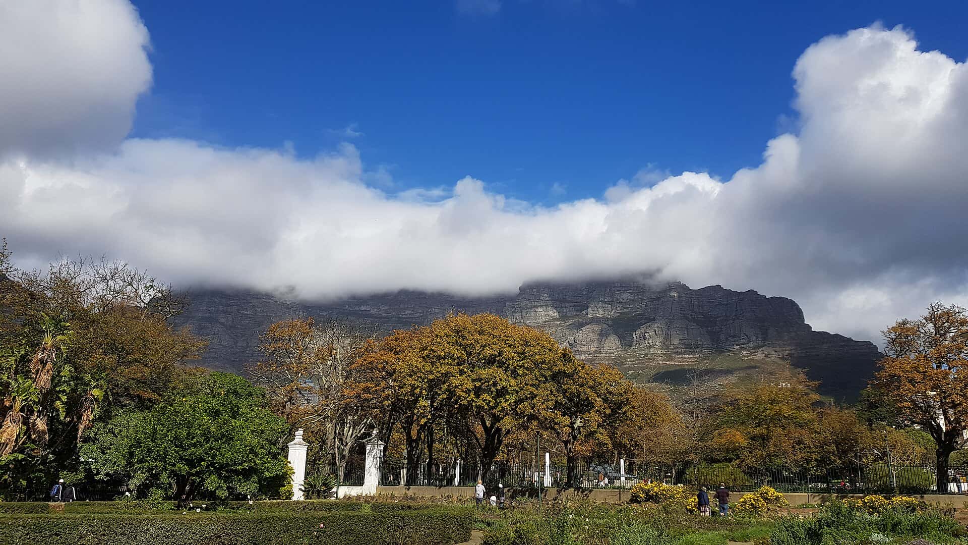 Verre Reis Zuid-Afrika: Kaapstad, Stellenbosch (7 nachten)