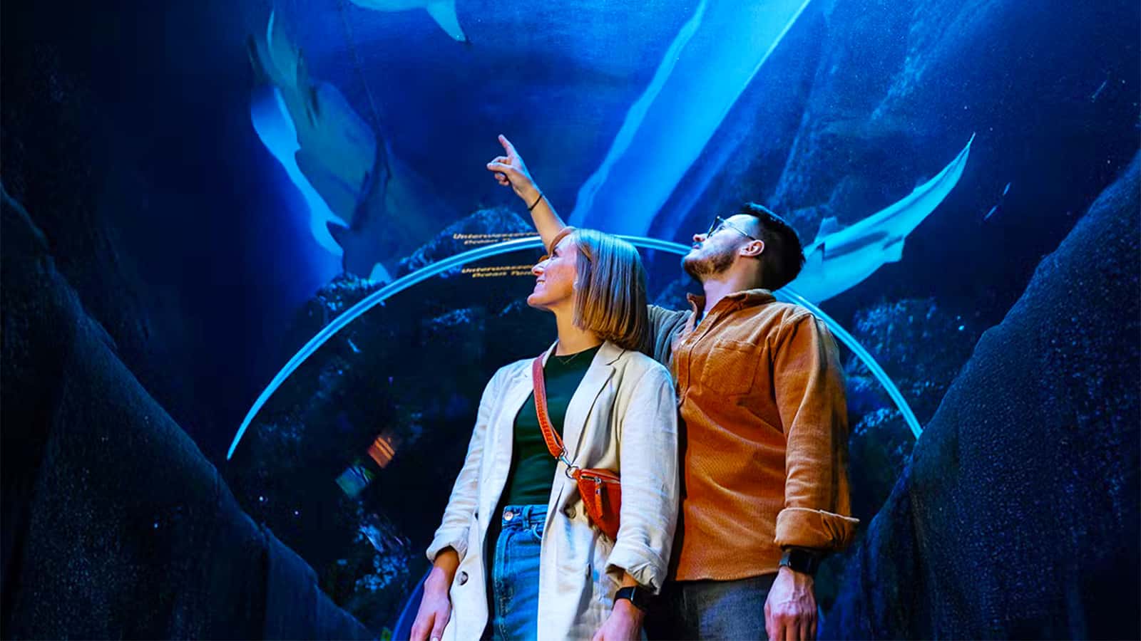 Rondreis Ruhr & Heuvelland: Oberhausen en Valkenburg, met SEA LIFE en de Gemeentegrot