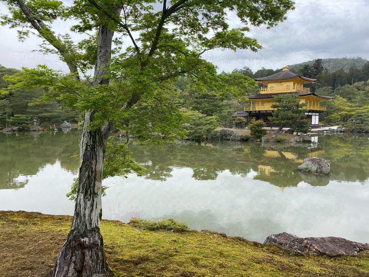 Het gouden Kinkaku-ji-paviljoen naast een vijver met bomen in Kyoto