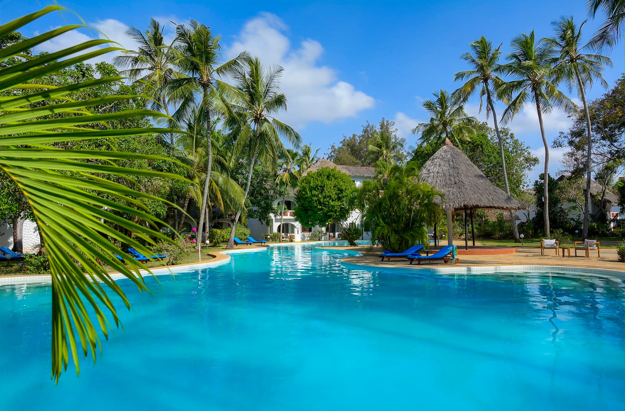 Zwembad tussen palmen bij Diamonds Leisure Beach & Golf Resort